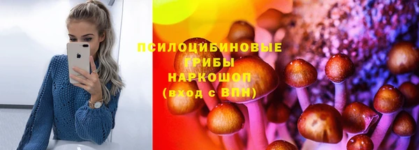 spice Арсеньев