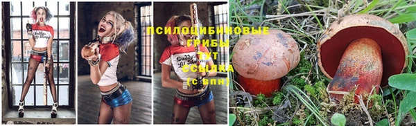 spice Арсеньев